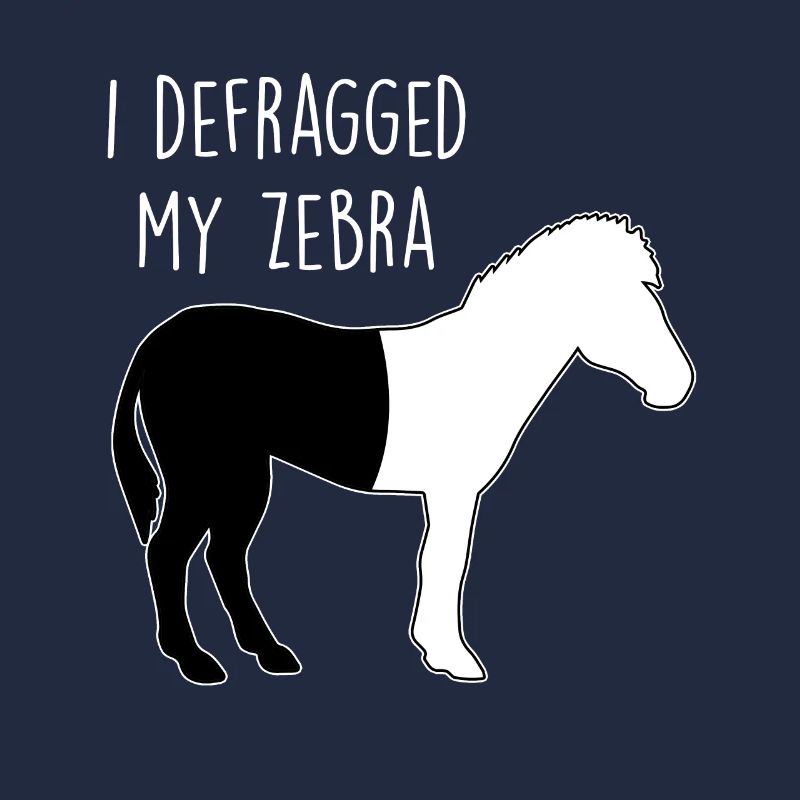 I defragged my Zebra Coder Informatiker Hacker
