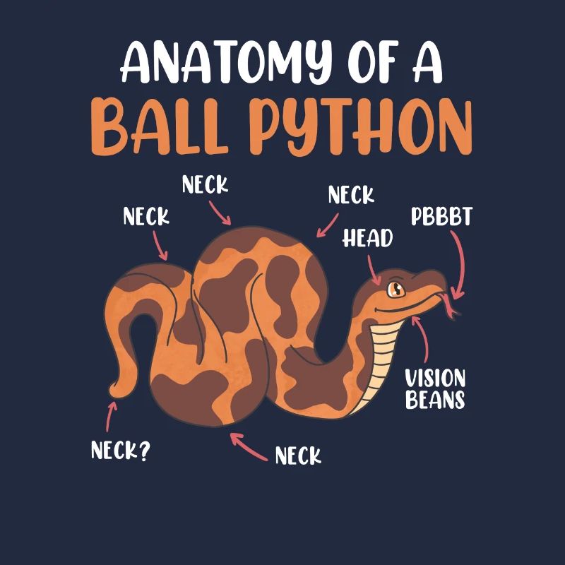 Snake Anotomy of a King Python Ball Python