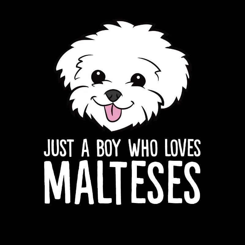 Malteser Hund Nur ein Junge, der Malteser liebt