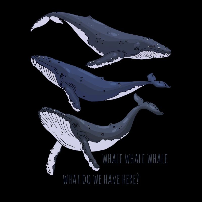 Whale Whale Whale, What Do We Have Here Funny Whal