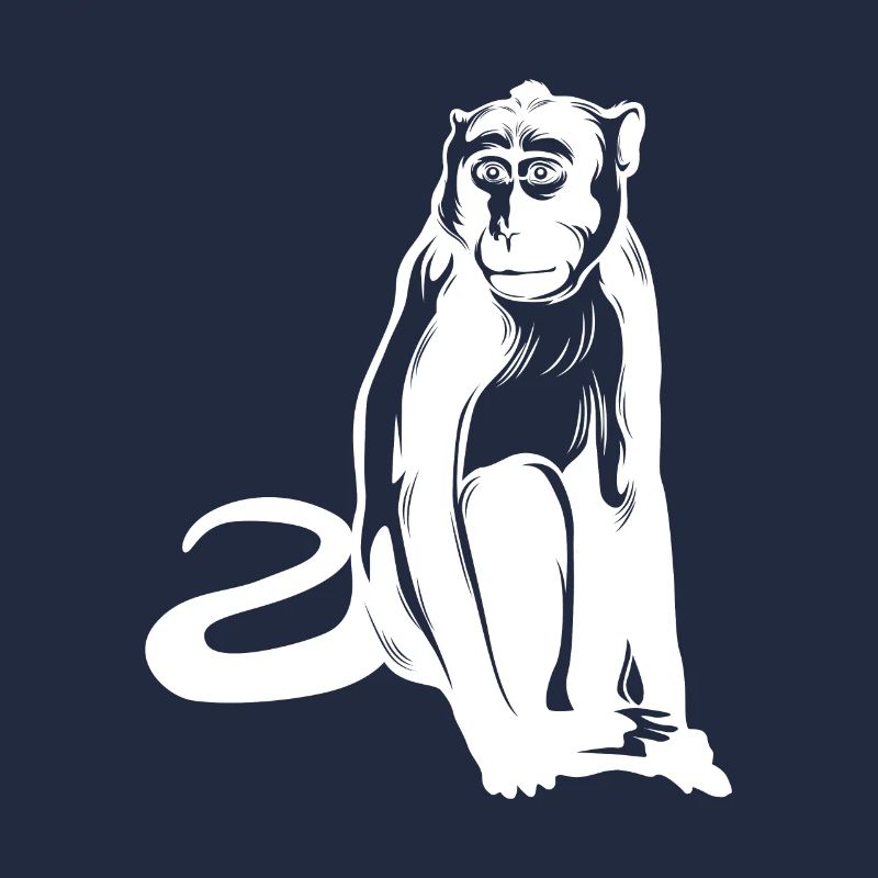 Monkey Monkey Animal