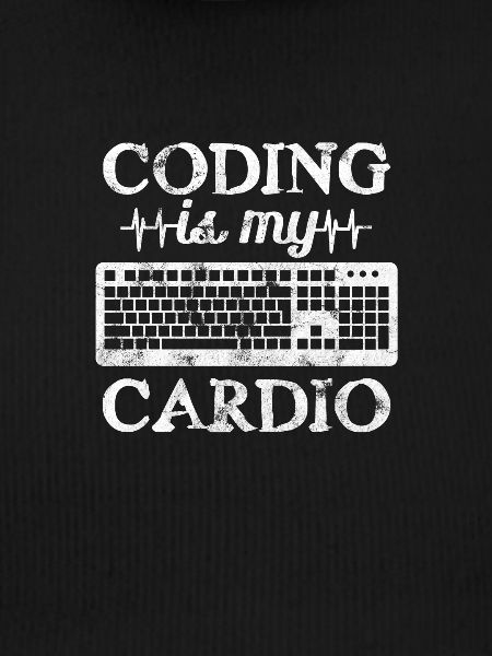 Software developer