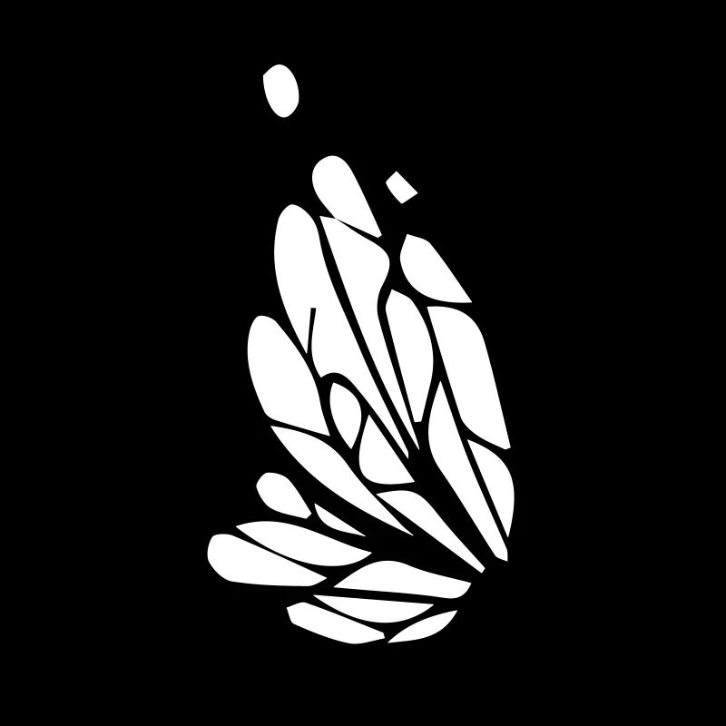 schmetterling