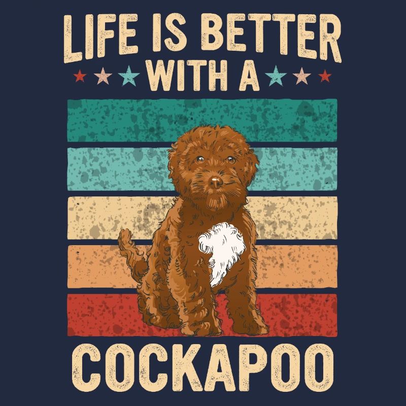 Cockapoo Hund