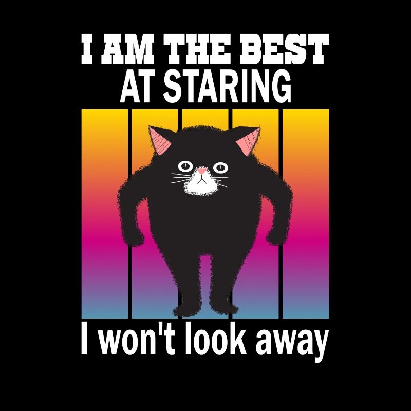 Starrende Katze - Katzen Starren