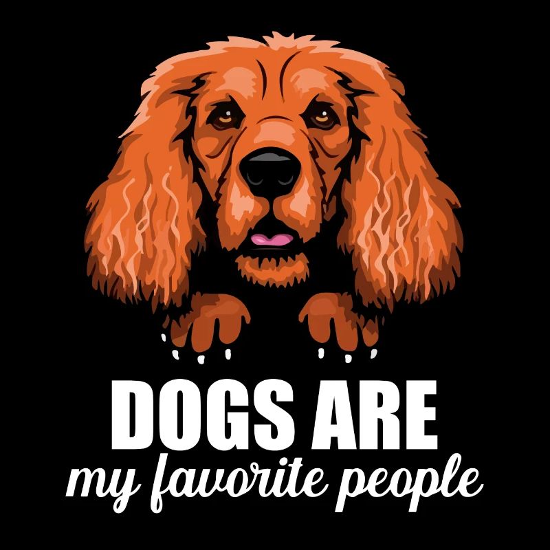 Cocker Spaniel Hunde Sind Lieblingsmenschen
