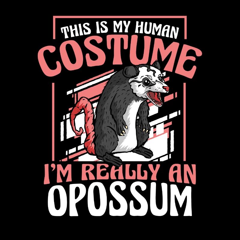 Opossum Possum Tier