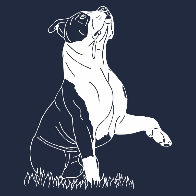 American Bully XL