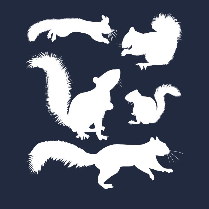 Squirrel, cute squirrel lover,