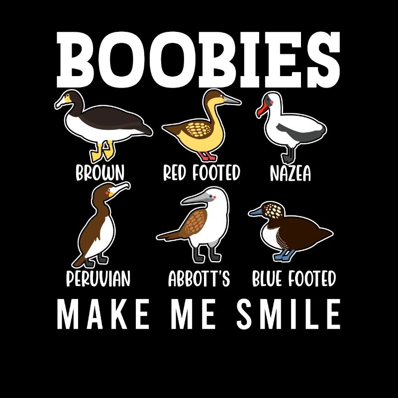 Funny Booby Seabirds Collection
