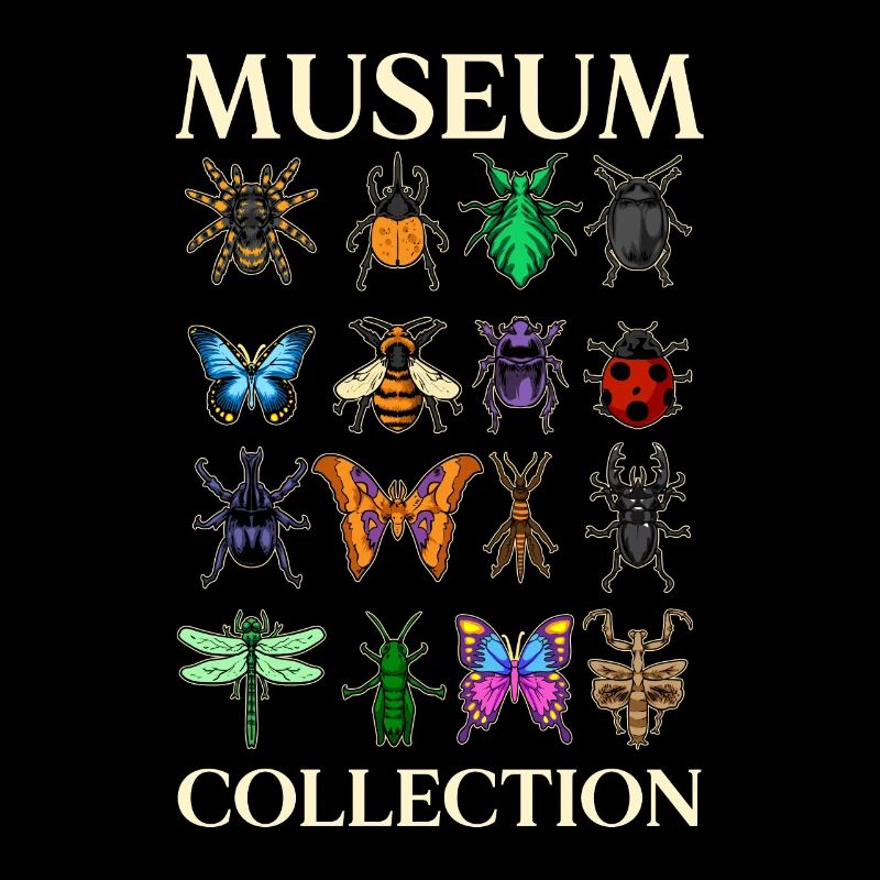 Collection du Musée des insectes et des papillons