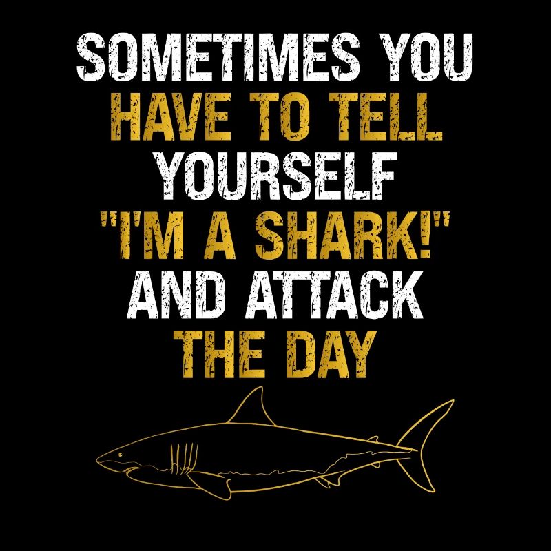 Attaque de requin du jour