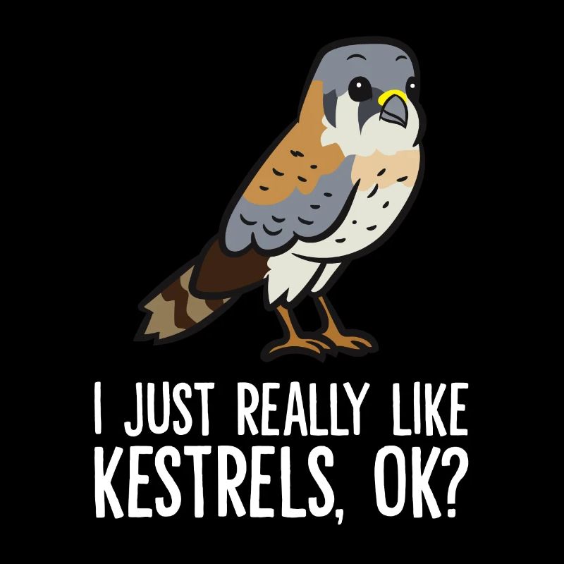 I Just Really Like Kestrels, Ok? Cute Kestrel Bird