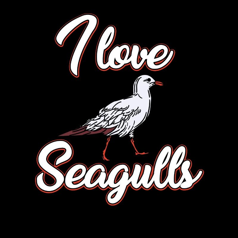 J’adore les mouettes