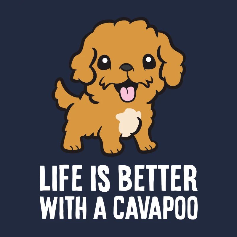 Cavapoo Haustier Hund Das Leben ist besser mit