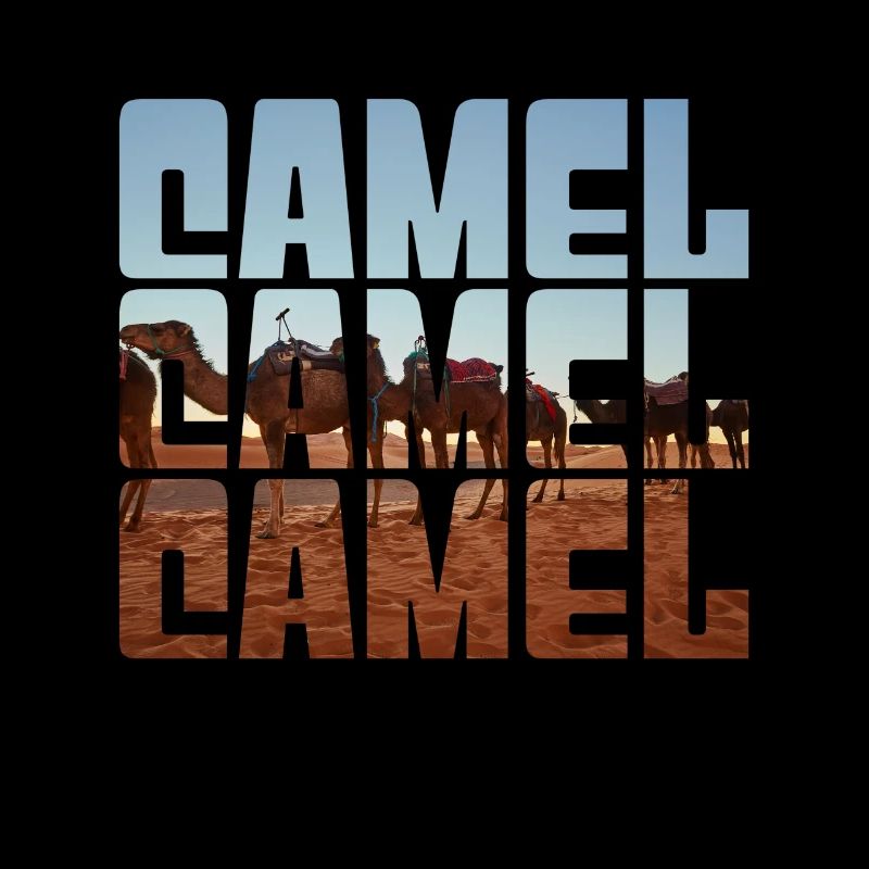 Kamel