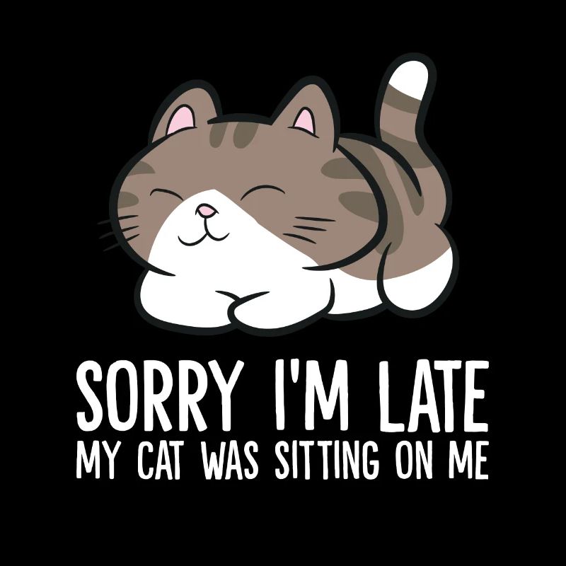 Tut mir leid, dass ich zu spät bin, meine Katze