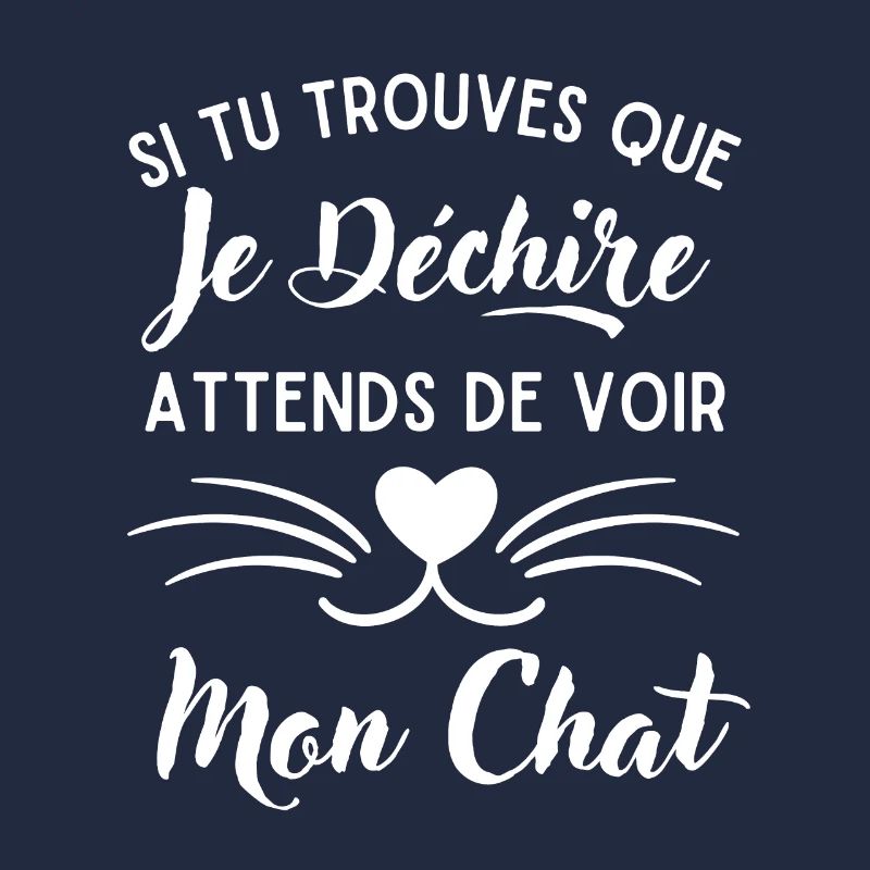 Mon Chat qui déchire 1