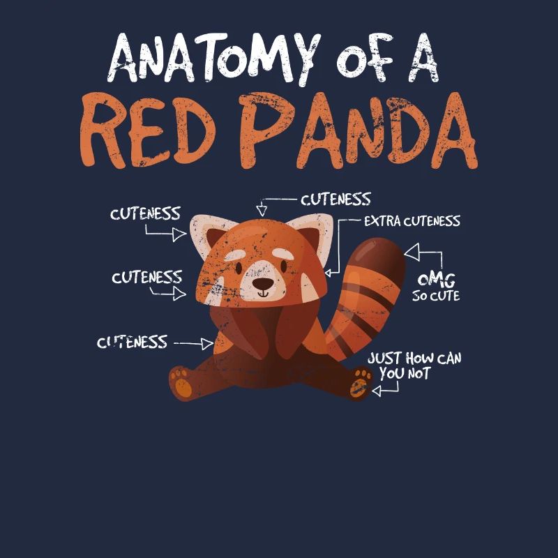 Panda roux Anatomie d’un zoologiste scientifique du panda roux