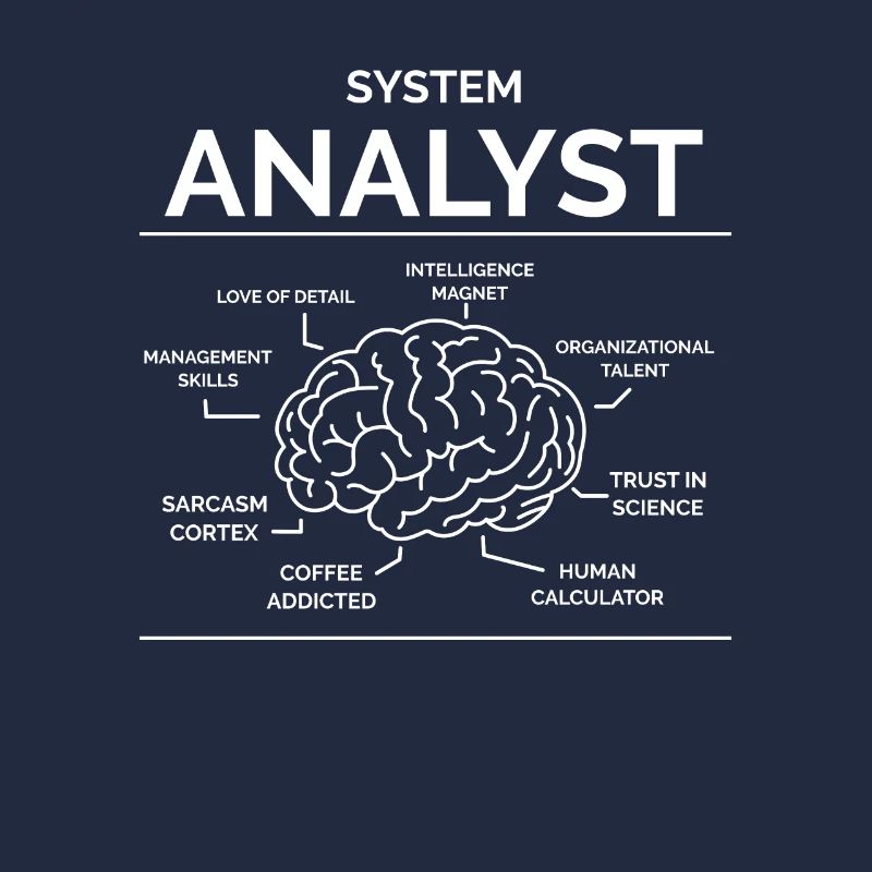 Systems analyst