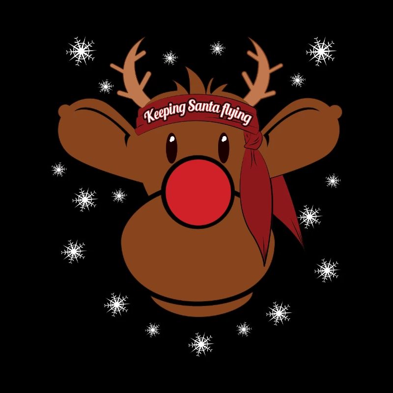 Rudi lets Santa fly Christmas