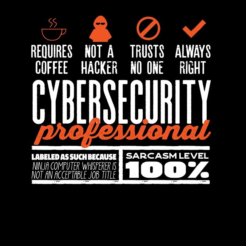 Expert en cybersécurité