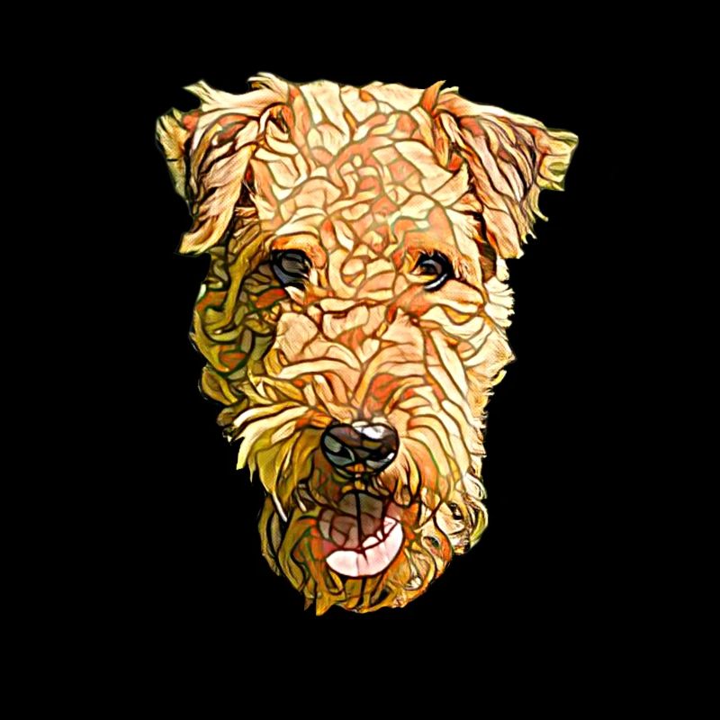 Visage d’Airedale Terrier