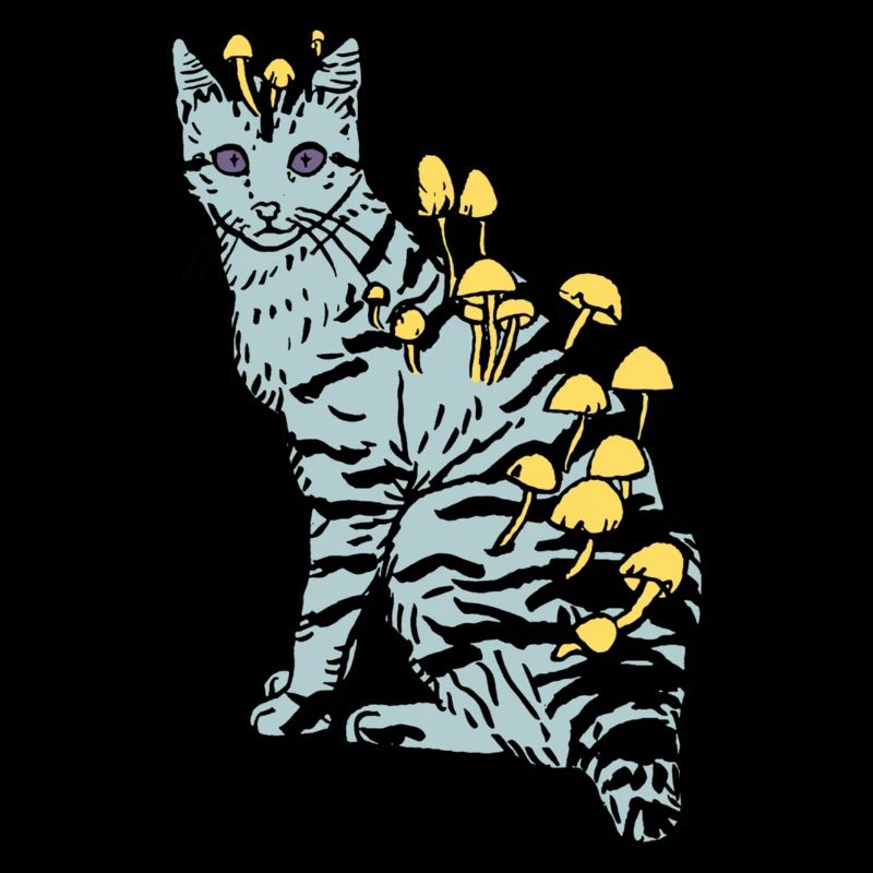Cubensis Cat