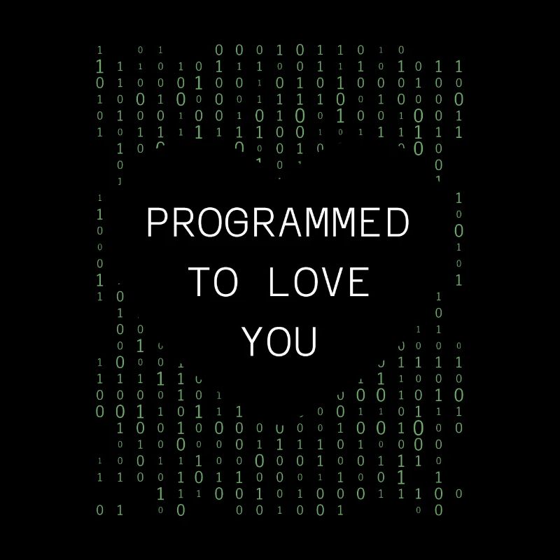 Developer Coder Programmer