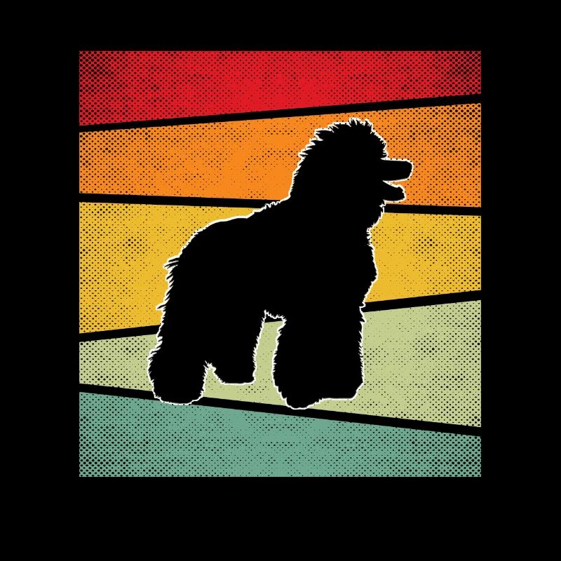 Caniche Rétro