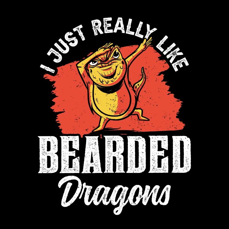 I just like bearded dragons very much Bearded Dragon