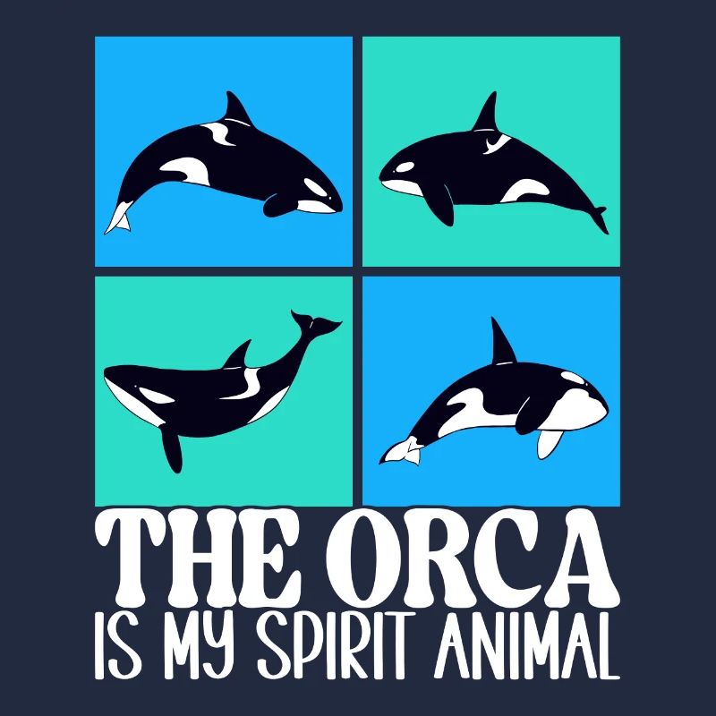 Orques d’observation des baleines