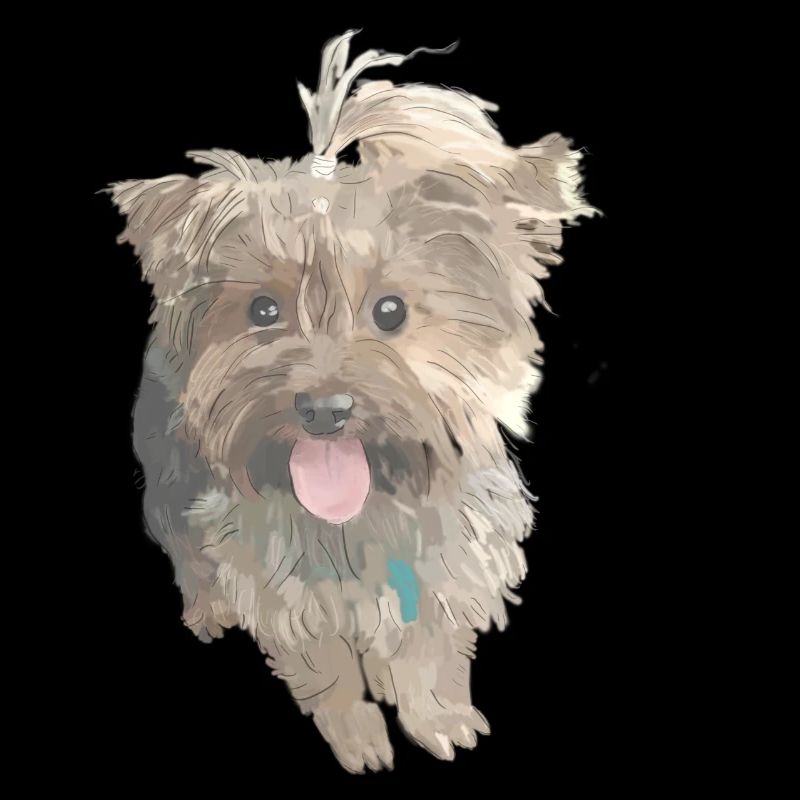 Chien York