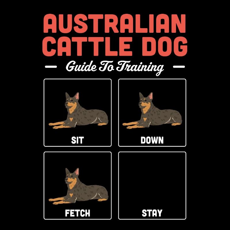 Bouvier australien