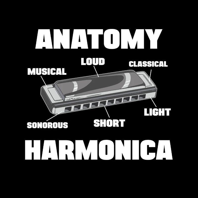 Anatomy Harmonica Player Harmonicist Mouth harp