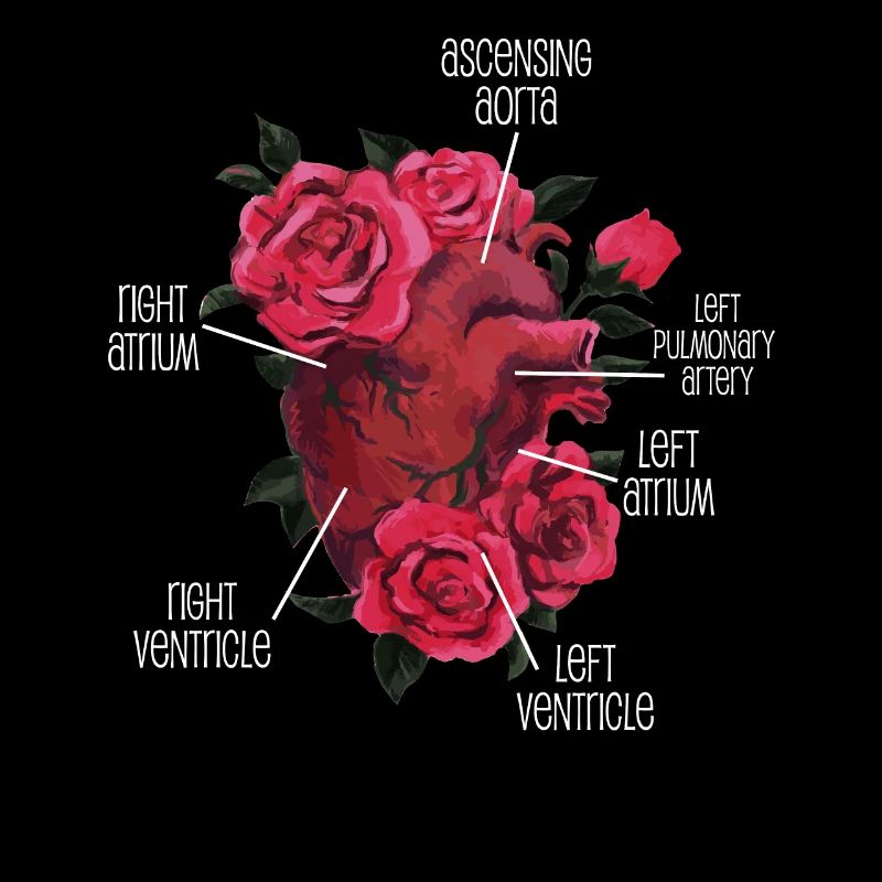 Cœur anatomique et fleurs