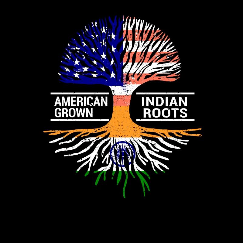 Drapeau américain Inde indienne racines Pendjab