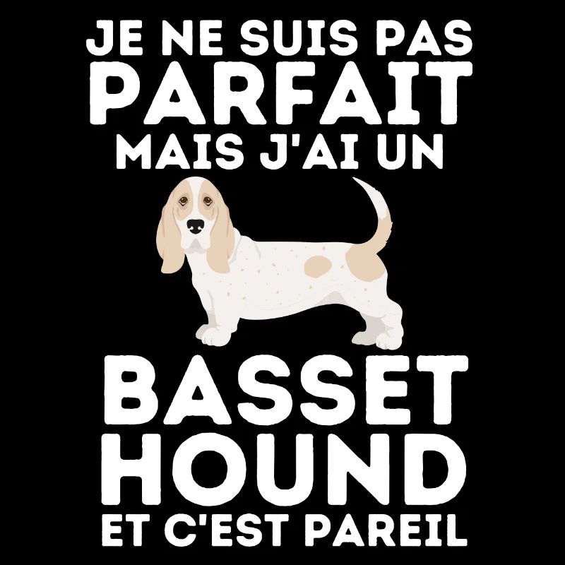 basset hound 3