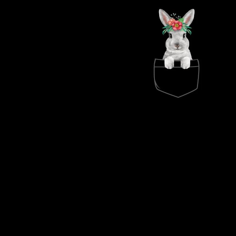 Lapin dans la poche Lapin de Pâques