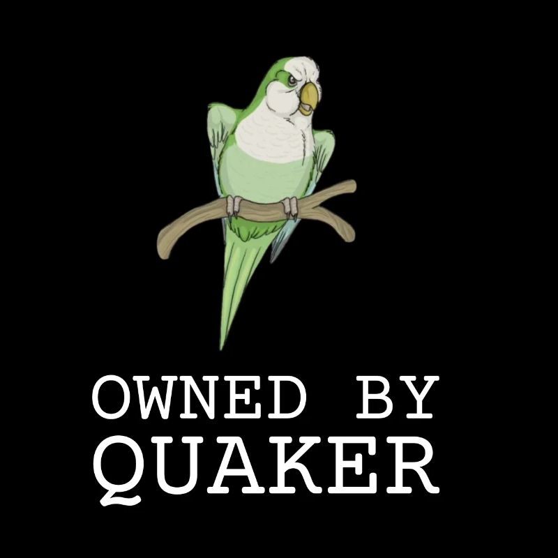 Blue Quaker Parrot Mom