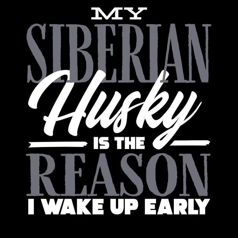 Husky sibérien