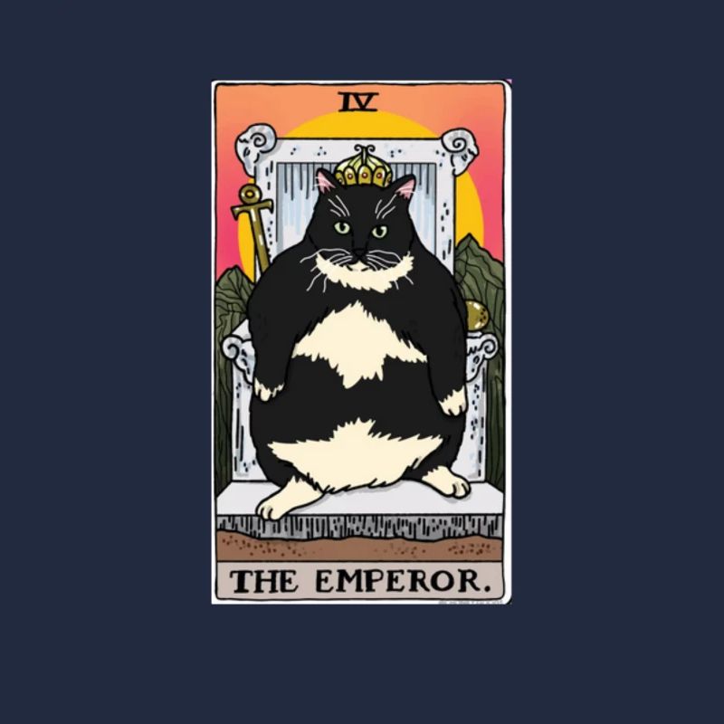 Obésité du gros chat