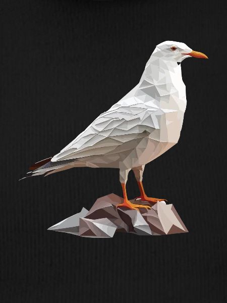 Polygon Möwe auf Felsen