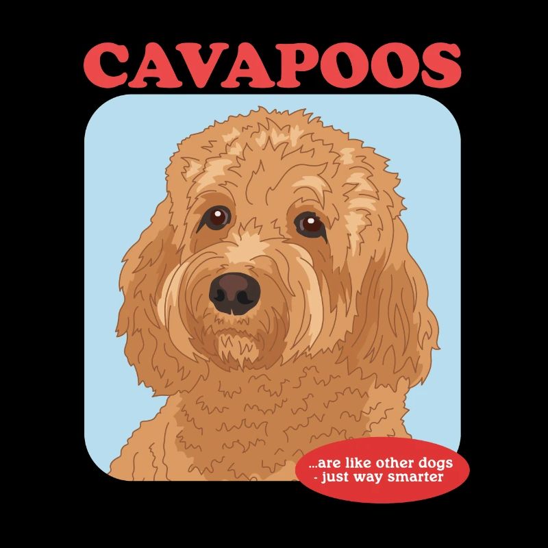 Cavapoo Hunde Cavoodle Hundebesitzer Geschenk