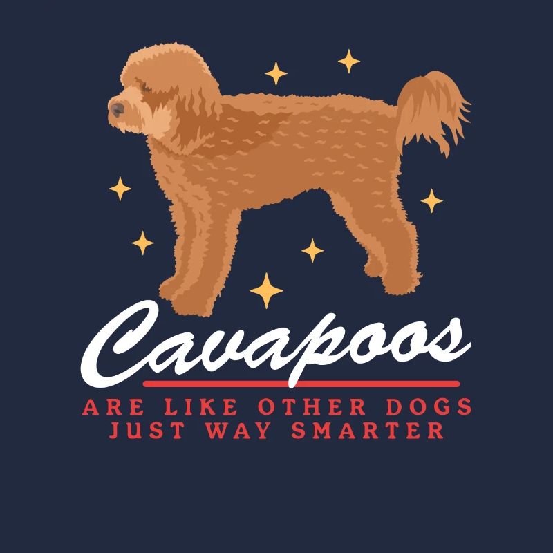 Chiens Cavapoo | Cadeau du propriétaire de chien Cavoodle