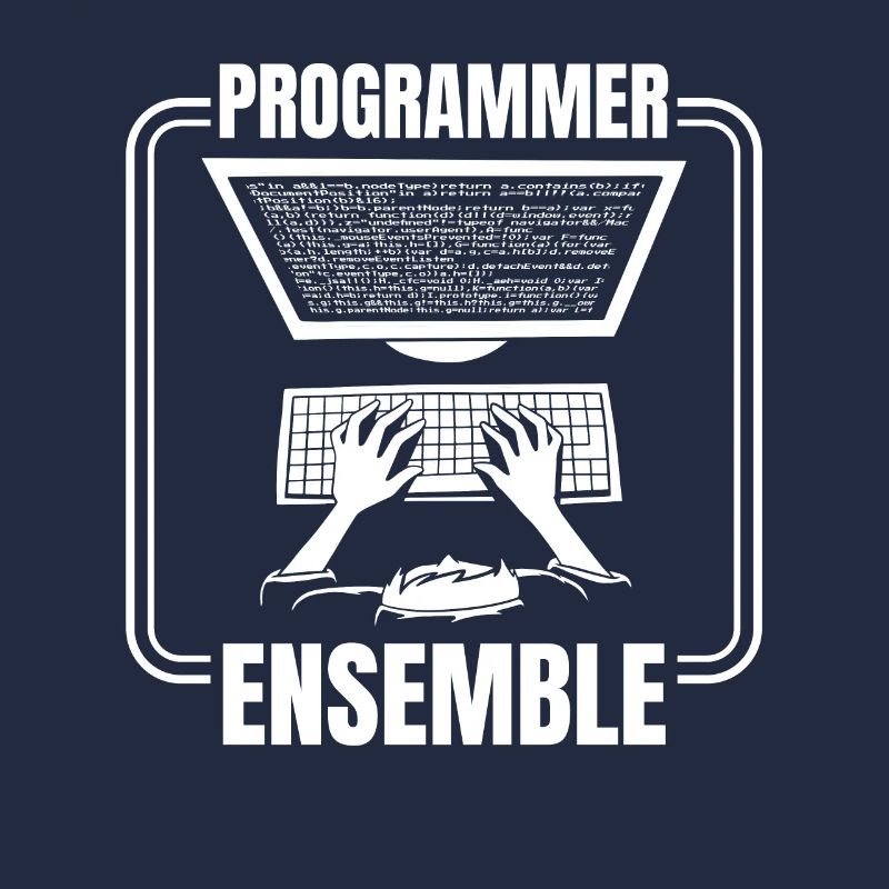 Développeur, Codeur, Programmeur, Informatique