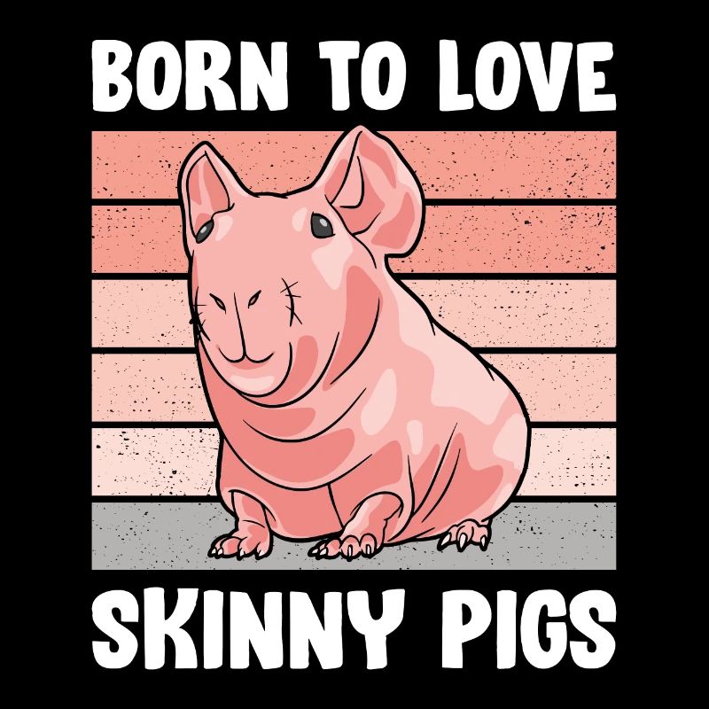 Cochon d’Inde sans poils Cochon maigre