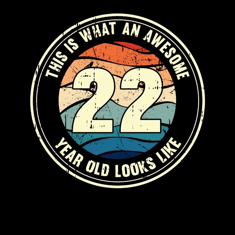 22. Geburtstag so sieht man mit 22 Retro Geschenk