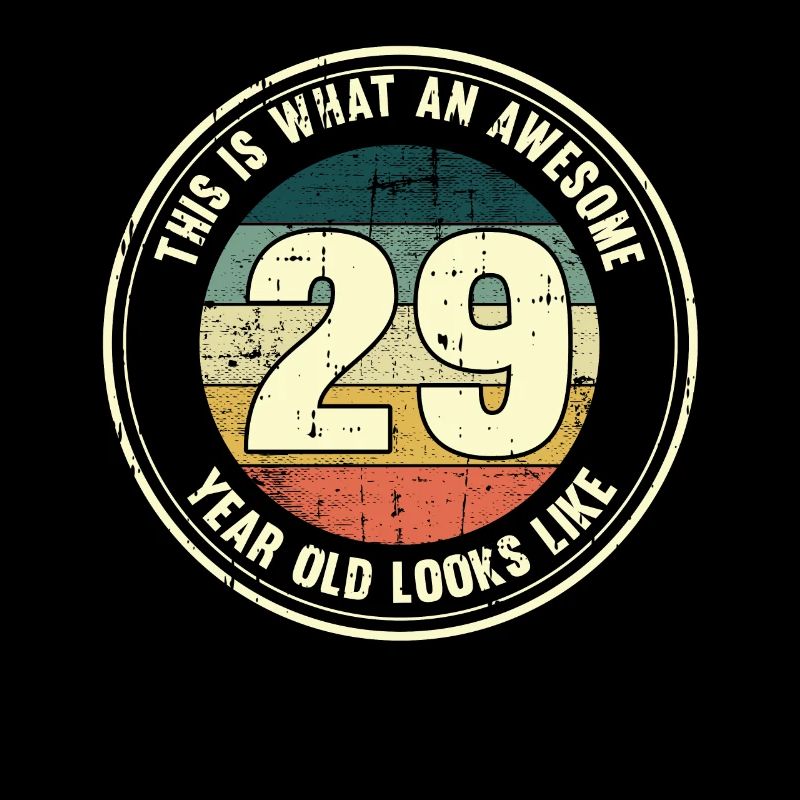 29. Geburtstag so sieht man mit 29 Retro Geschenk