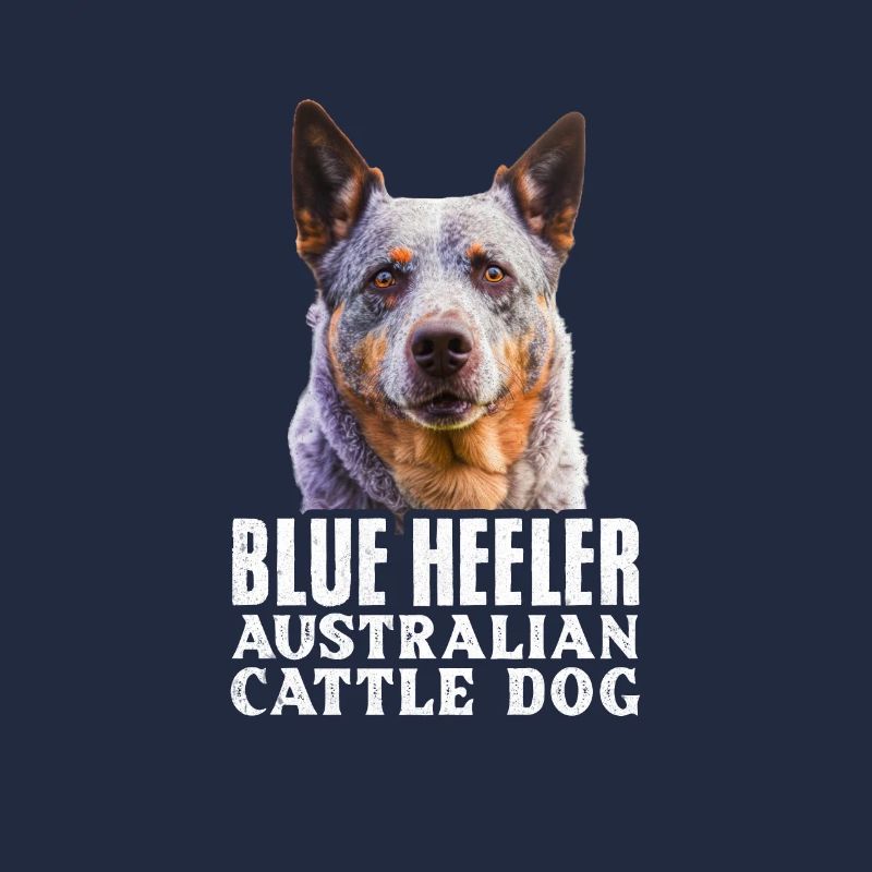 Australian Cattle Dog